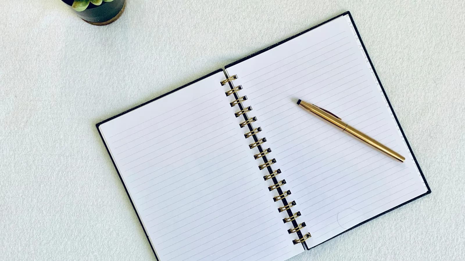 An open notebook and pen next to a small succulent plant, on a flat lay desk